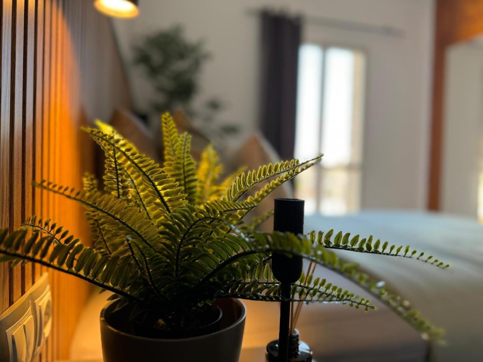 Green Oasis Paradise San Bartolomé Εξωτερικό φωτογραφία